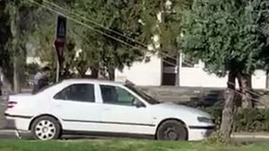 Tânără de 17 ani din Baia Mare, urcată cu forța într-o mașină