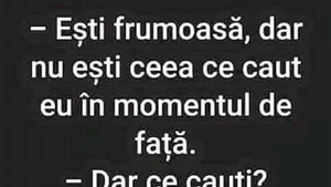 BANCUL ZILEI | "Ești frumoasă, dar nu ești ceea ce caut"
