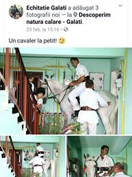 Imagini incredibile! A intrat într-un bloc călare pe un cal ca să își ceară mireasa de la părinți: „Un cavaler la pețit”