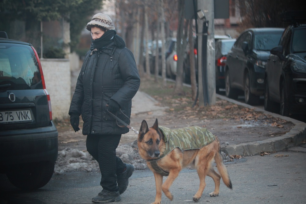 Irina Loghin l-a scos pe Tomi la plimbare