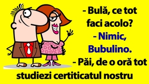BANC | Bulă, Bubulina și certificatul de căsătorie