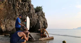 Galerie foto - poza 4