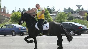 Imagini nemaivăzute de pe domeniul lui Nuţu Cămătaru. Cum arată palatul “Împăratului” lumii interlope