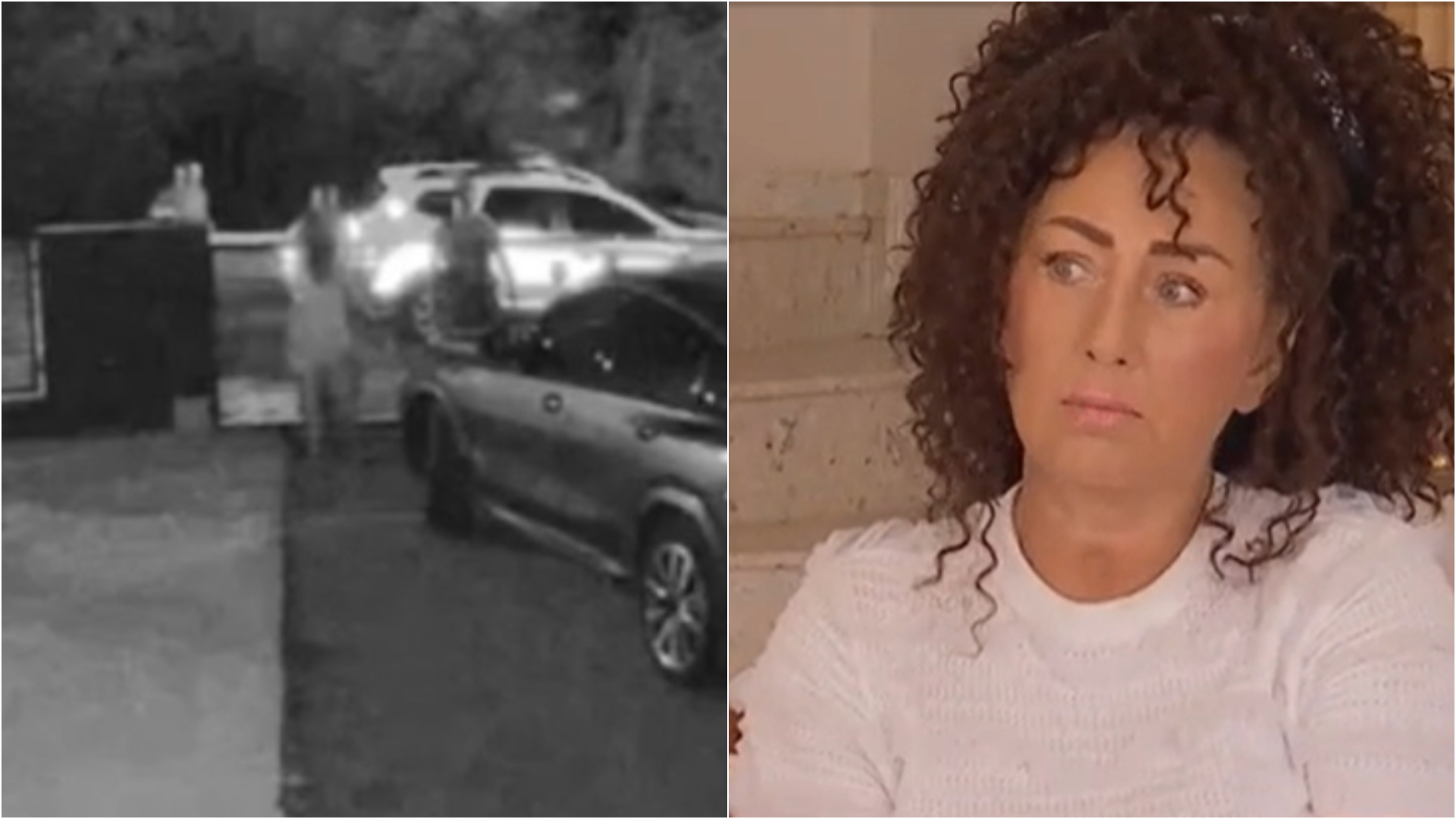 Ce susțin că făceau, de fapt, polițiștii din Prahova acuzați că au bătut o femeie. Femeia ar fi fost lovită cu pumnii