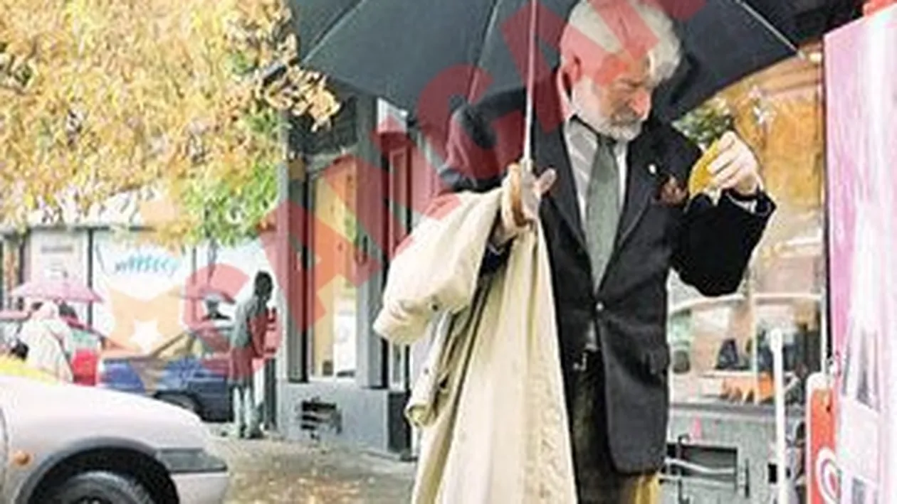 Maestrul iubeste toamna