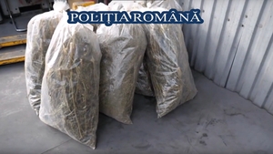 4 tone de droguri confiscate  au fost distruse de polițiști. Valoarea stupefiantelor: 625 de milioane lei