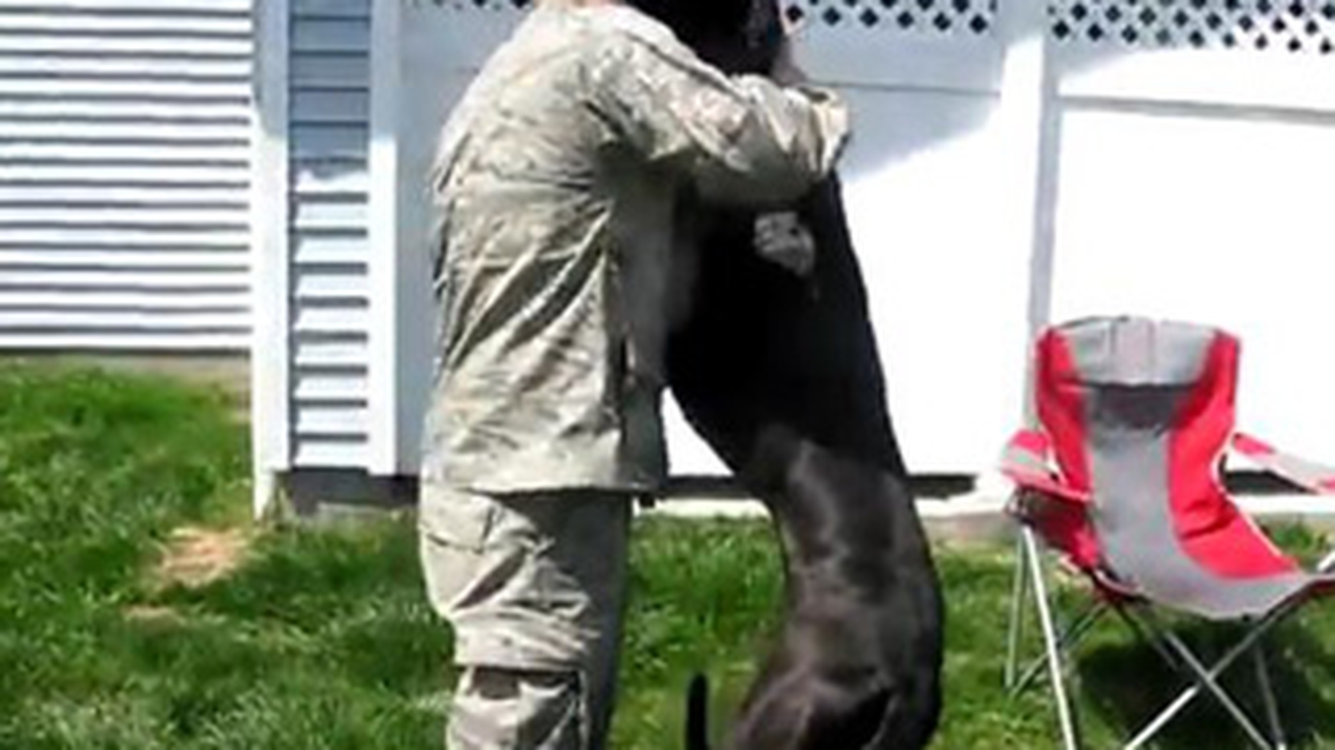 Video supertare! Uite cum se joaca un soldat cu cainele lui mai mare decat un vitel, dupa 9 luni in care nu si-a vazut prietenul!