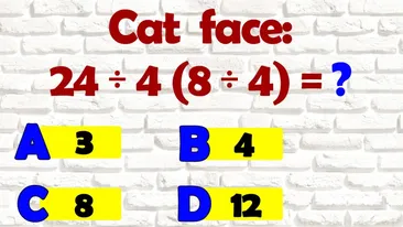 TEST IQ | Cât face 24/4(8/4)? Ești sigur că ai fost atent?!