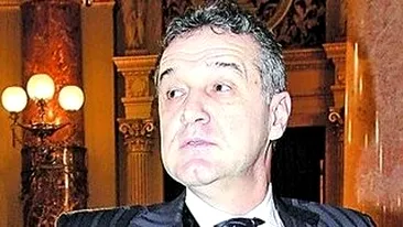 Genial! Afla de ce nu ii place lui Gigi Becali de Sharon Stone si care e vedeta lui preferata! Motivele te dau pe spate!