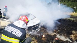 Haos după un accident rutier! O mașină a luat foc, vegetația s-a aprins și amenință o stație peco