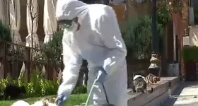 Galerie foto - poza 2