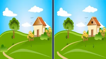 TEST IQ exclusiv pentru genii | Găsește toate cele 5 diferențe între aceste 2 imagini, în maximum 15 secunde!