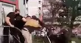 Galerie foto - poza 3