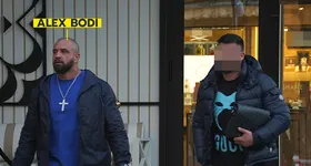 Galerie foto - poza 3