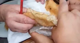 Galerie foto - poza 3