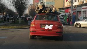 Să vezi și să nu crezi! Un craiovean transportă lemne de foc pe plafonul mașinii