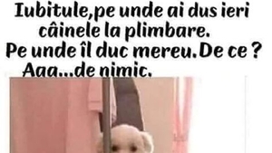 BANCUL ZILEI | "Iubitule, unde ai dus câinele la plimbare?"