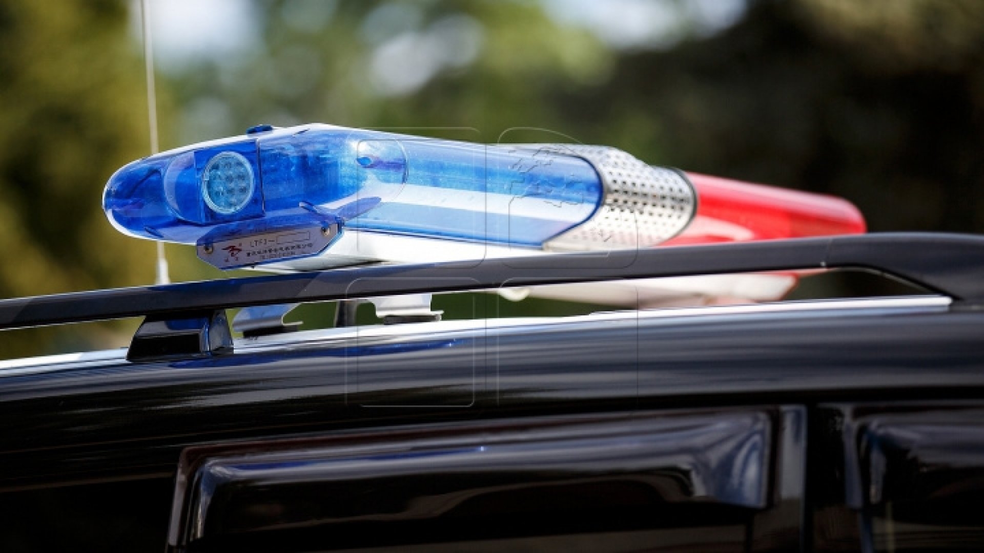 Fetiță de 12 ani, din Cluj-Napoca, dispărută de acasă, căutată de poliție și familie