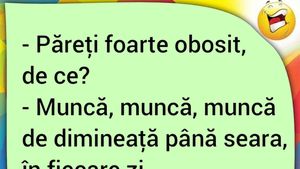 BANCUL ZILEI | "Păreți foarte obosit, de ce?"