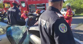 Galerie foto - poza 3