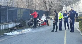 Galerie foto - poza 4