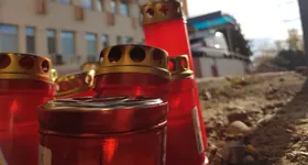 Galerie foto - poza 2