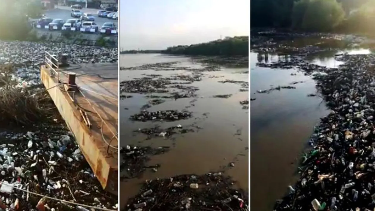 FOTO. Dunărea, plină de gunoaie între Orșova, Drobeta-Turnu Severin și Insula Șimian