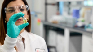 Alertă epidemiologică în România! S-a răspândit virusul ”limbii albastre” și în țara noastră