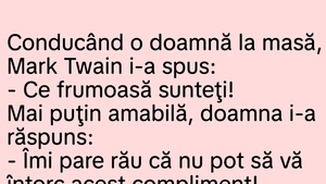 BANC | Mark Twain și doamna frumoasă