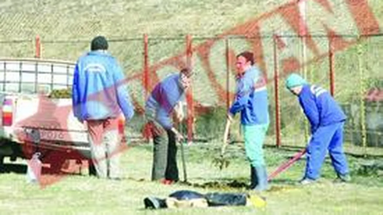 Nu mai vor carne de pui