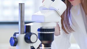 E. coli si controversele unei epidemii