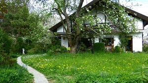 Locul din România unde poți să primești gratuit casă. Ce condiții trebuie să îndeplinești