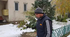 Galerie foto - poza 2