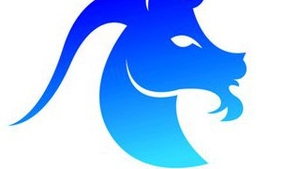 Tipologia zodiilor Capricorn