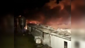 Sute de animale au murit într-un incendiu violent izbucnit la un adăpost din Buzău. VIDEO