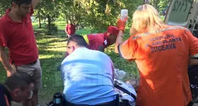 Galerie foto - poza 3