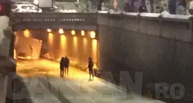 Galerie foto - poza 1