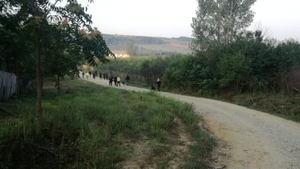 Minune într-o comună din Dolj! O fetiță de doi ani, în viață, după ce a stat o noapte pe câmp printre animale sălbatice