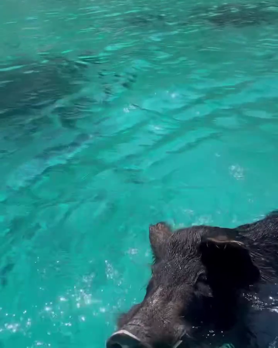Sursa foto: Instagram Ithaki island