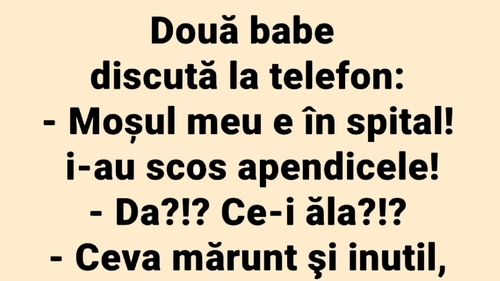 BANCUL ZILEI | Discuție la telefon între două pensionare