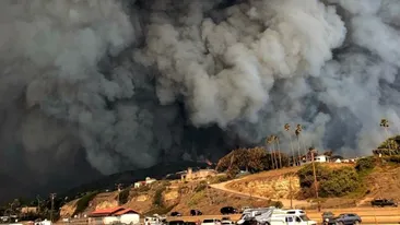 Bilanțul incendiilor de vegetație din California a ajuns la cel puțin 25 de morți