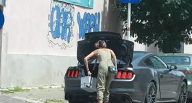 Galerie foto - poza 3