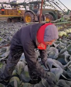 Român plecat la muncă în Anglia, mesaj dur pentru prieteni: “Aici lucrez prin gheață, frig, zăpadă… Stați cu mine aici ca să vă dau bere, de Crăciun, când mă întorc acasă?!”