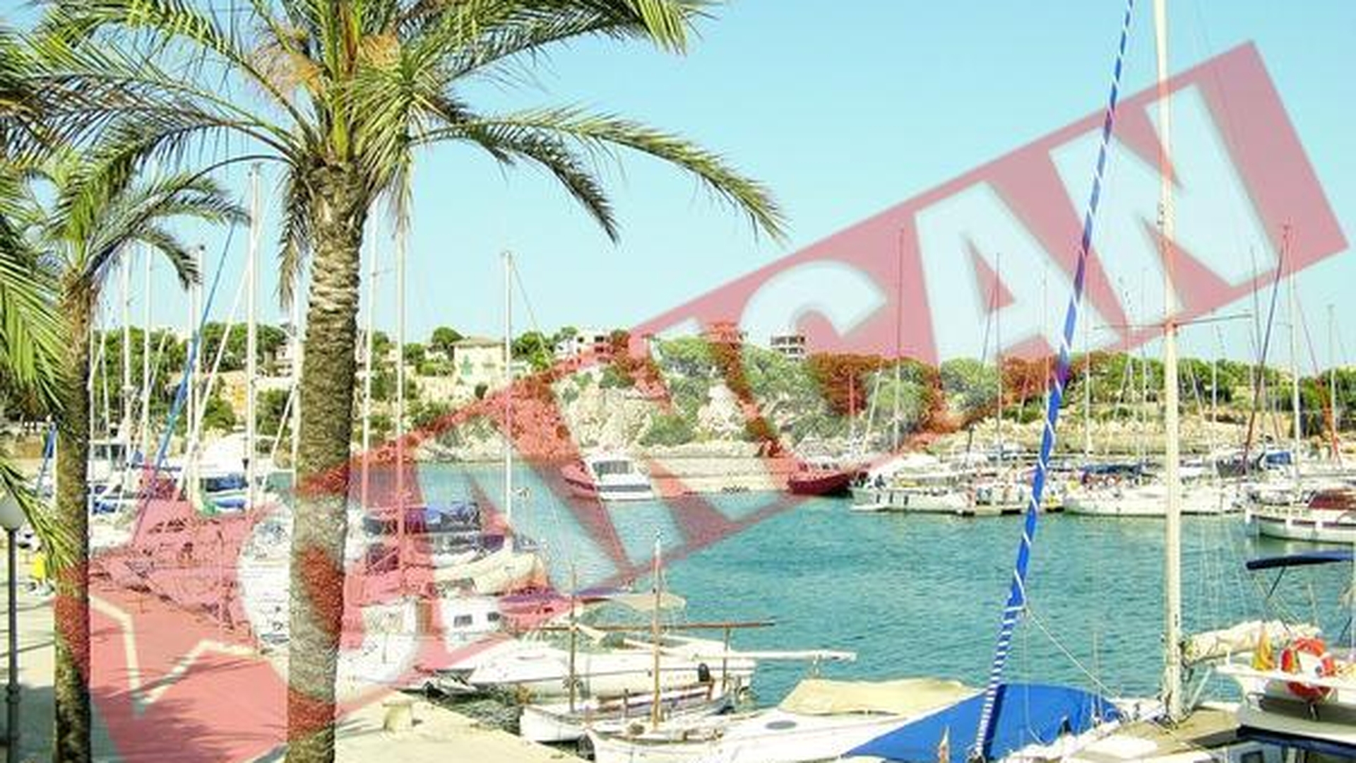 Vacante in strainatate la preturi reduse