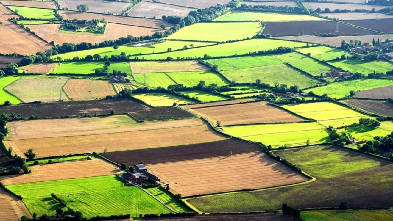 Județul din România în care un hectar de pământ s-a vândut cu 280.000 de euro. Care este motivul prețului uriaș