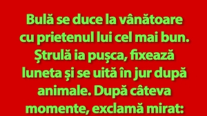 BANC | Bulă și Ștrulă se duc la vânătoare
