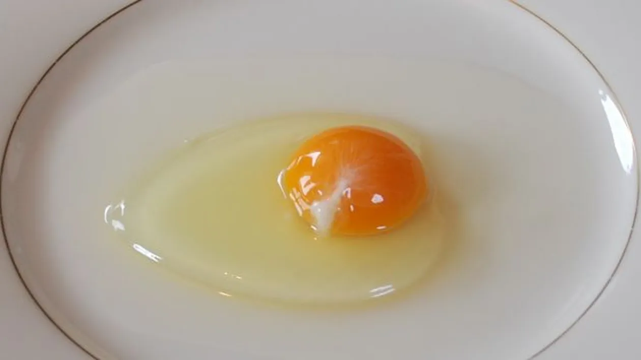 De ce ouăle crude au un “fir” albicios în interior? Tu ştii ce este şi ce rol are?