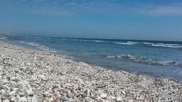 Caz incredibil pe litoral. Un bărbat a făcut baie în mare alături de un rottweiler