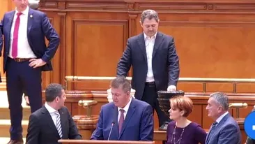Deputatul PSD Bota, care a votat moțiunea: Vinovați sunt CEX-ul unanim și CEX-ul mic