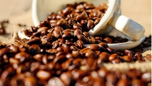 Ce se întâmplă dacă pui zaț de cafea la rădăcinile plantelor, de fapt? Nu e atât de util pe cât se crede